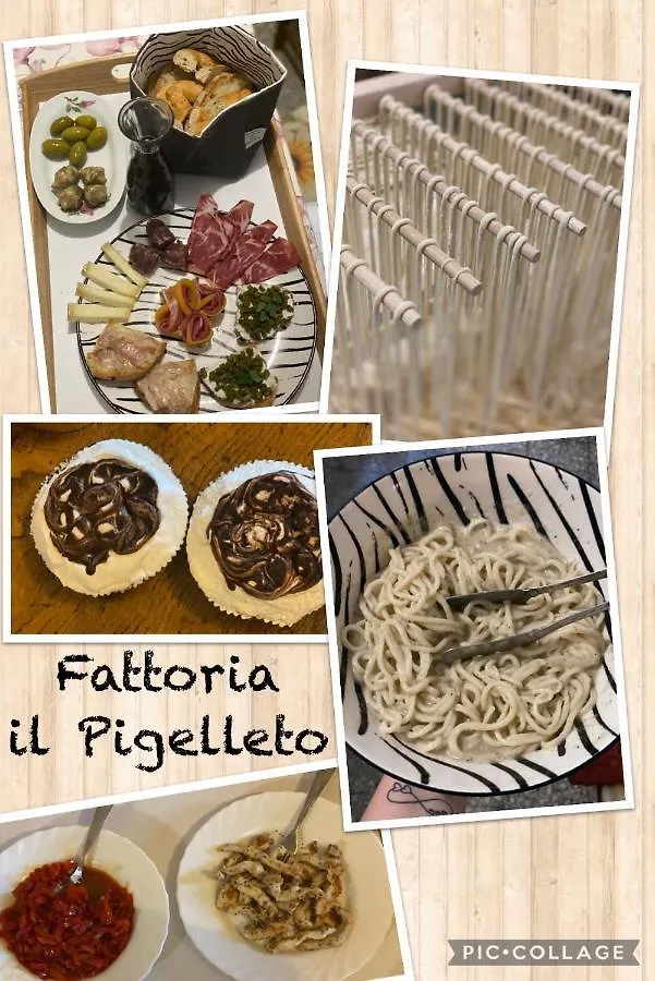 Fattoria il Pigelleto Villa Piancastagnaio Italia