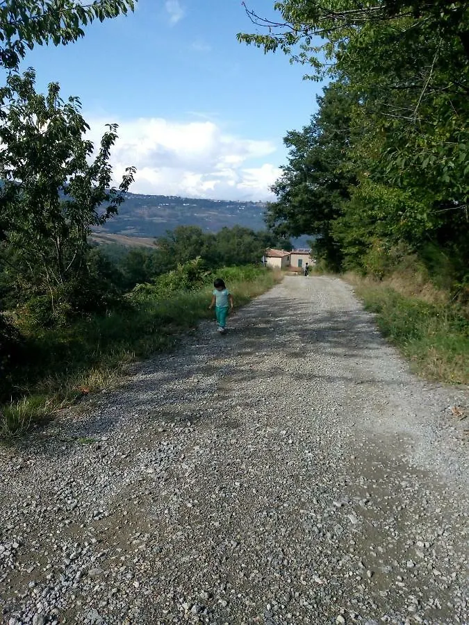 Fattoria il Pigelleto Villa Piancastagnaio Alloggio per agriturismo