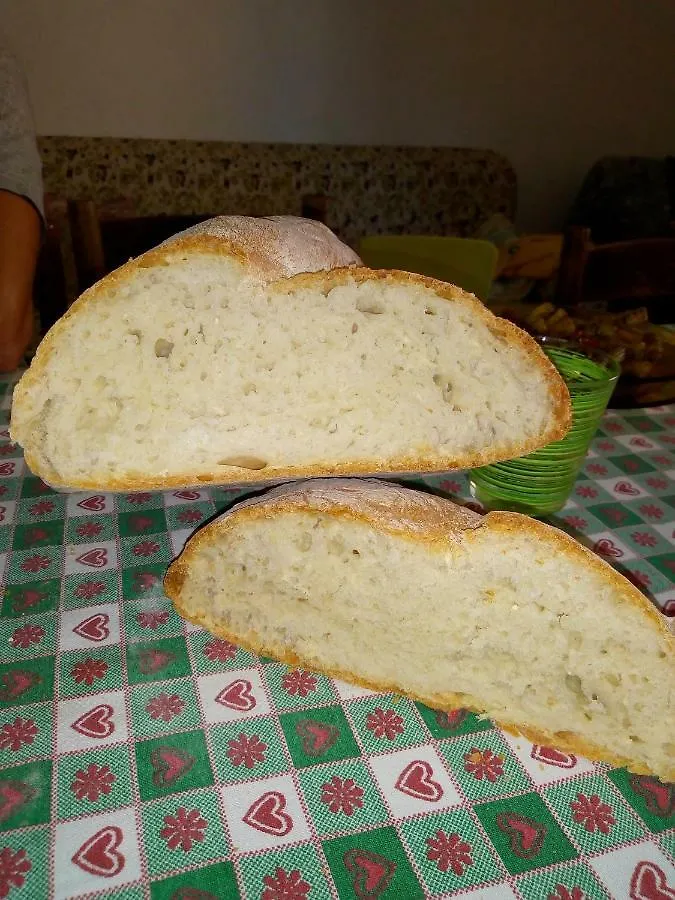 Fattoria il Pigelleto Villa Piancastagnaio